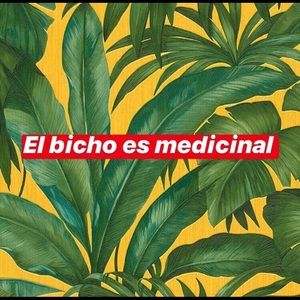 Meet your Posher, Luis